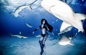 澳大利亚女模与鲨鱼共舞 共舞照片丨鲨鱼共舞