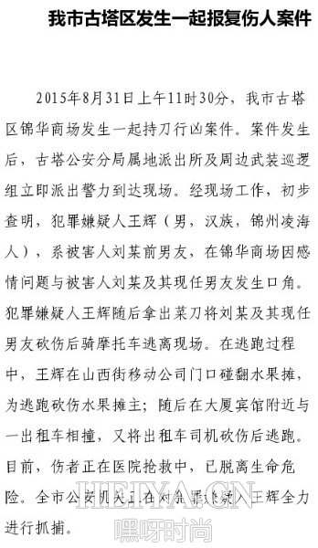 辽宁锦州砍人20150831事件官方通报 被砍与伤亡人数|被砍者名单 暴徒是谁遭人肉