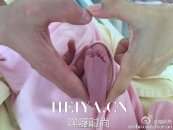 陶昕然因女儿爆粗口发飙真相 陶昕然老公何建泽背景个人资料